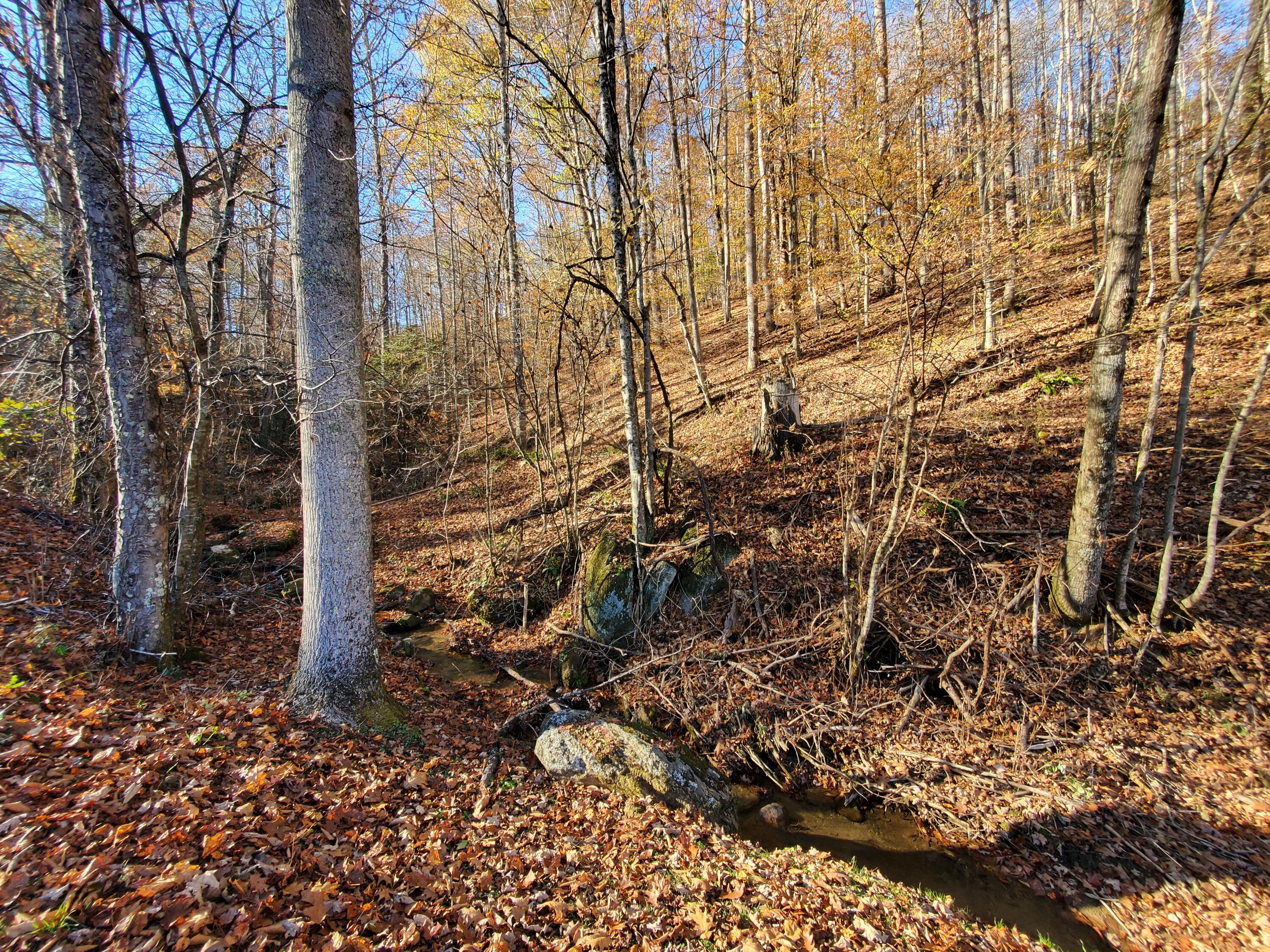 0 Ingram Branch Road, Unit 4 Roan Mountain, TN 37687 - Photo 6 of 15 20231103_161948