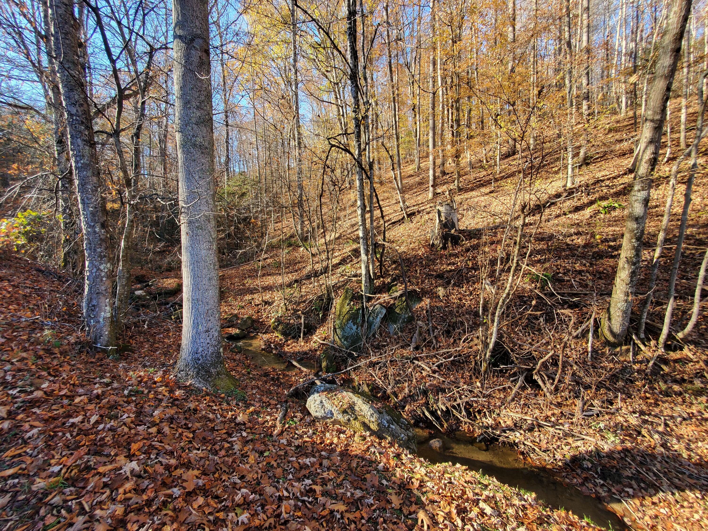 0 Ingram Branch Road, Unit 4 Roan Mountain, TN 37687 - Photo 7 of 15 20231103_161956