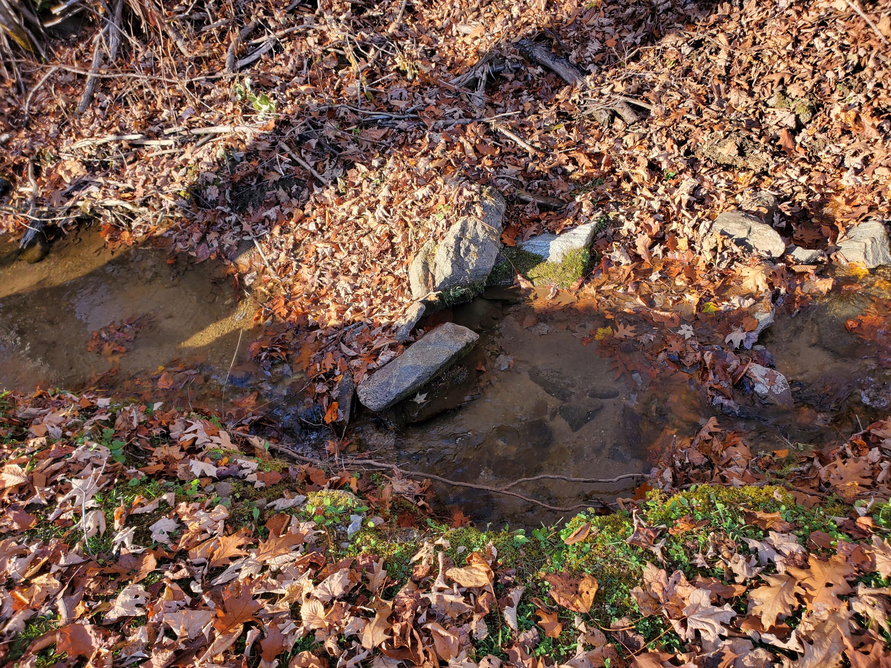 0 Ingram Branch Road, Unit 4 Roan Mountain, TN 37687 - Photo 10 of 15 20231103_162027