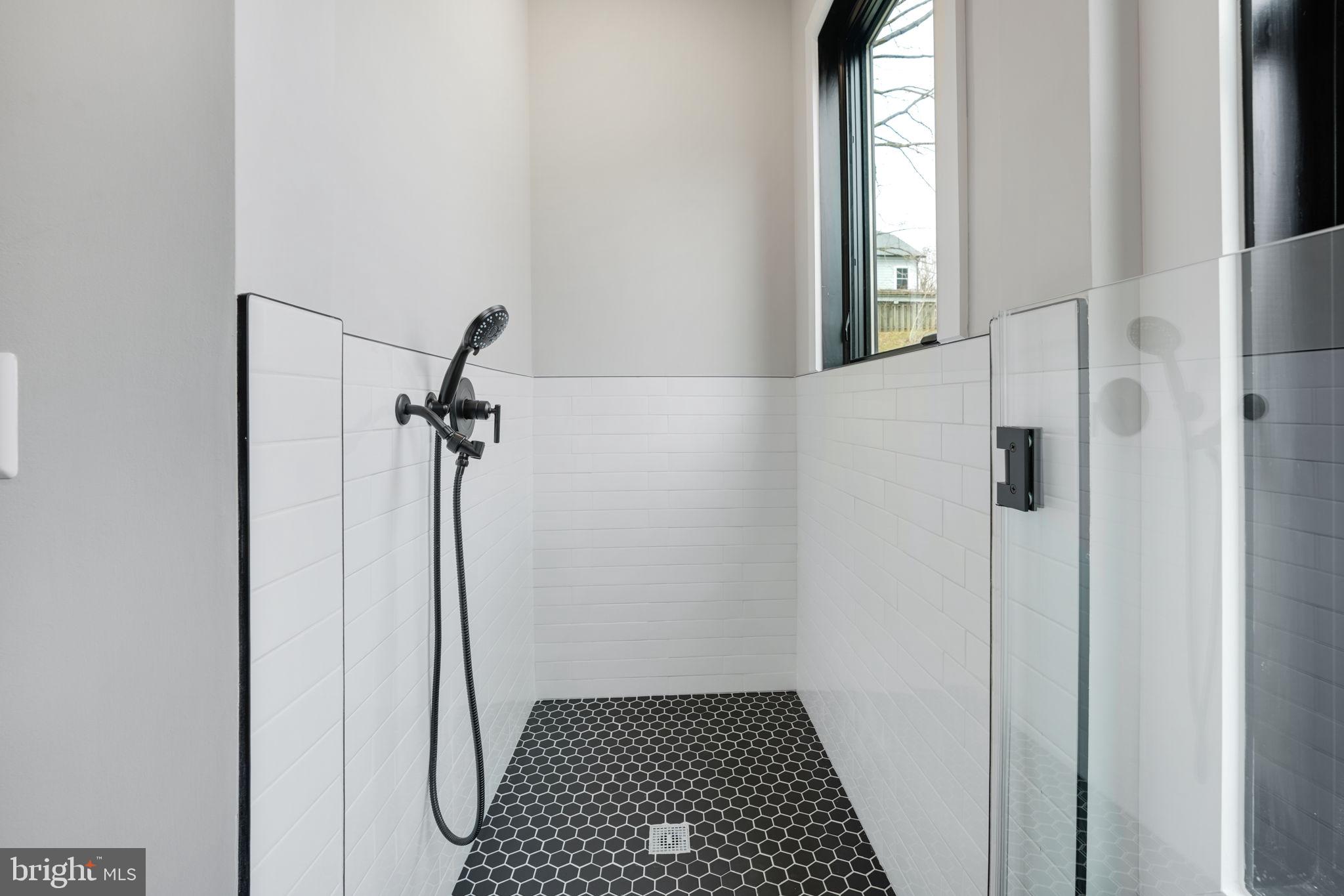 1604 Wrightson Drive McLean, VA 22101 - Photo 28 of 68 Pet Shower