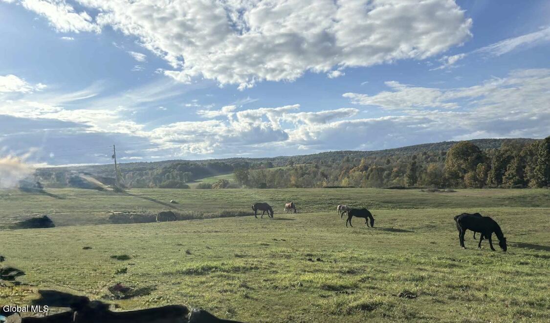 L12 Sheldon Road Granville, NY 12832 - Photo 3 of 3 IMG_1568