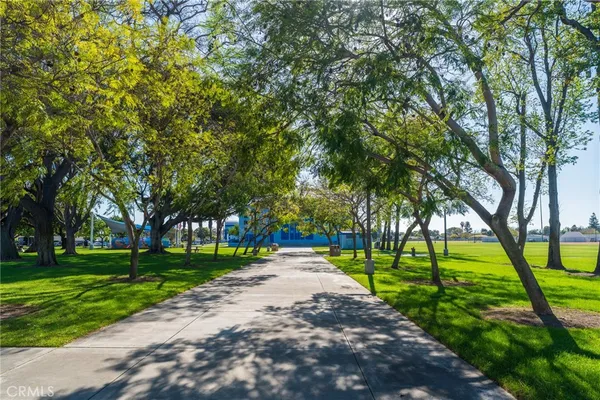 a view of a park with large trees