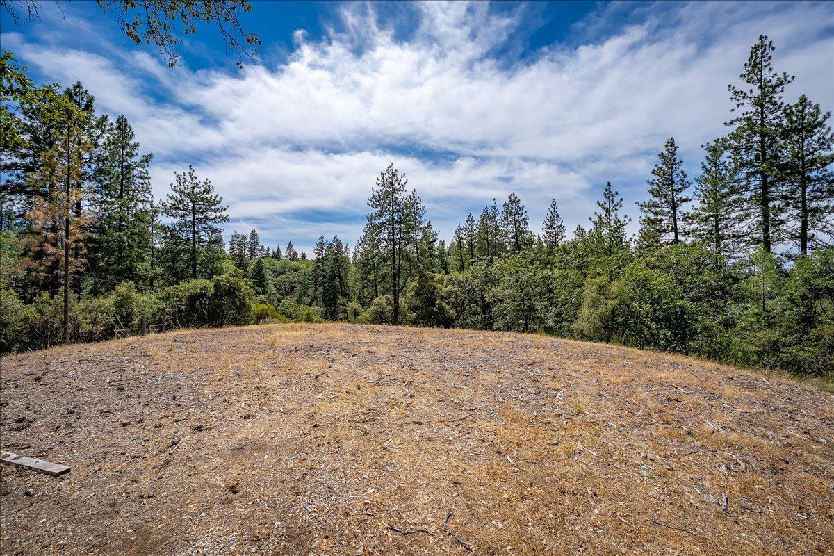 22600 Plumtree Road Colfax, CA 95713 - Photo 16 of 37