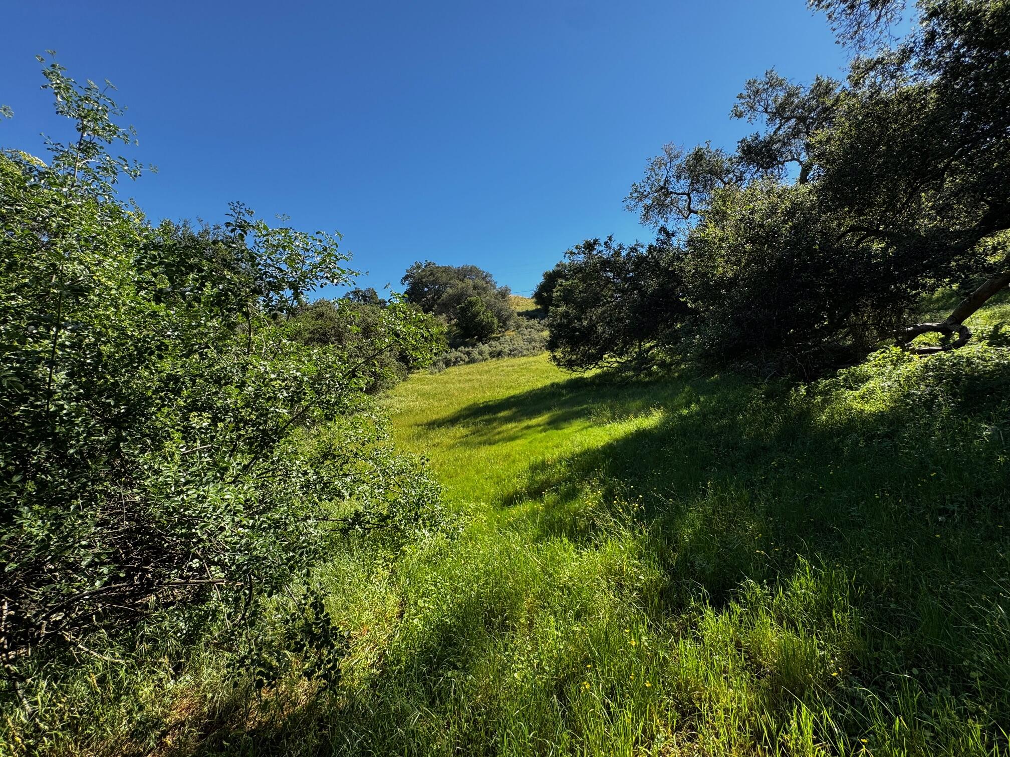 0 Alisos Canyon Road Los Alamos, CA 93440 - Photo 52 of 102 IMG_3687
