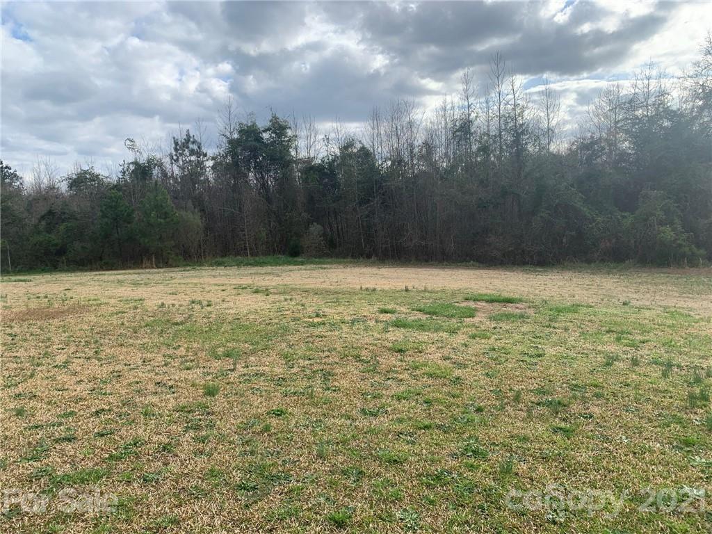 4524 Cherrystone Road Lancaster, SC 29720 - Photo 24 of 25 a view of a lake view