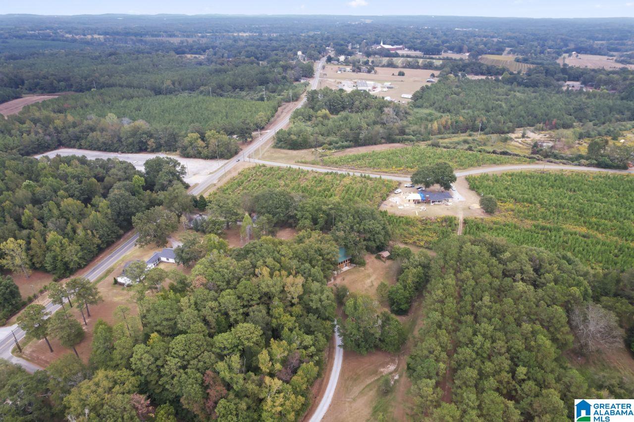 95 Bay Street Clanton, AL 35045 - Photo 41 of 44