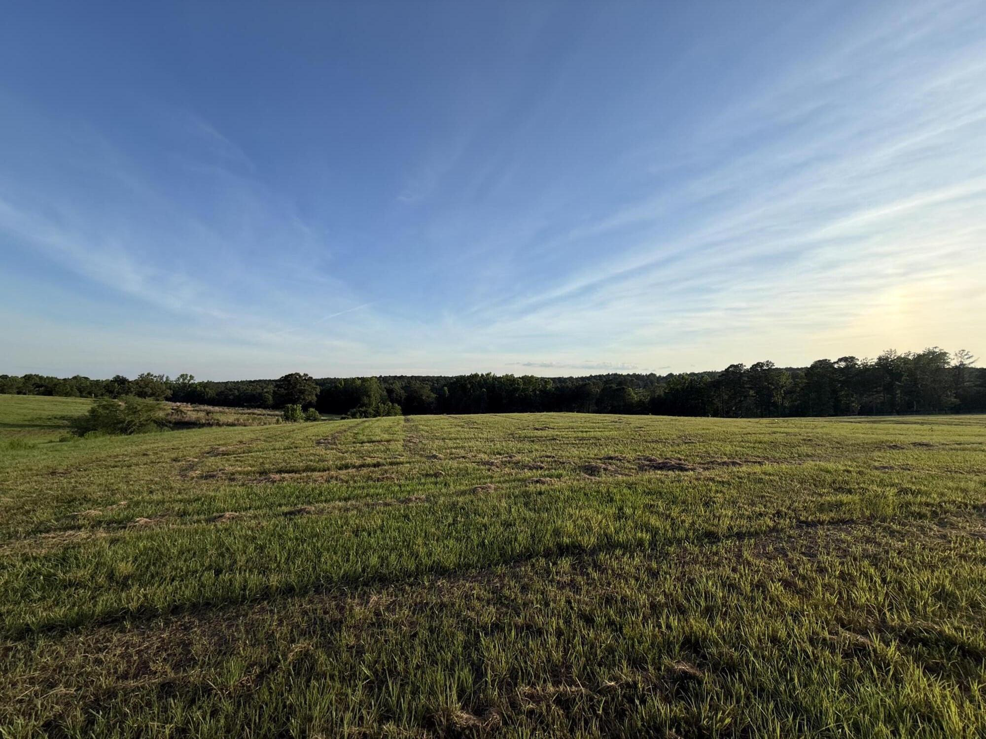 Lot 12 Reeves Street Aiken, SC 29805 - Photo 8 of 22