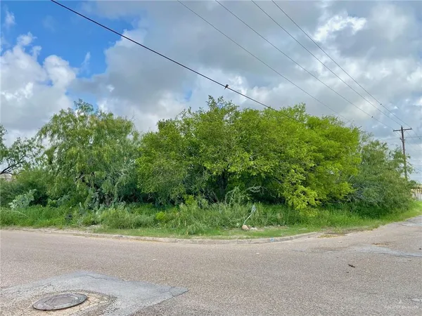 $54,900 | Tbd North Palm Street, Weslaco, TX 78596