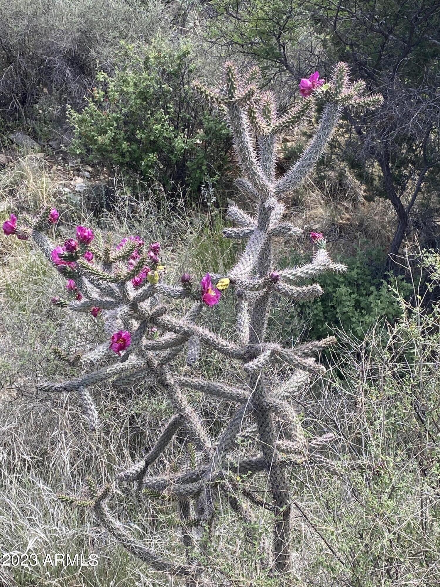 2411 South Wandervogel Way San Simon, AZ 85632 - Photo 33 of 42 IMG-1130