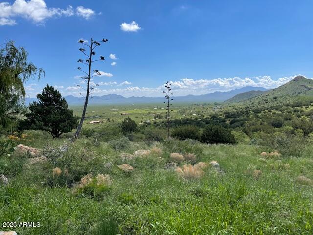 2411 South Wandervogel Way San Simon, AZ 85632 - Photo 34 of 42 IMG_1279