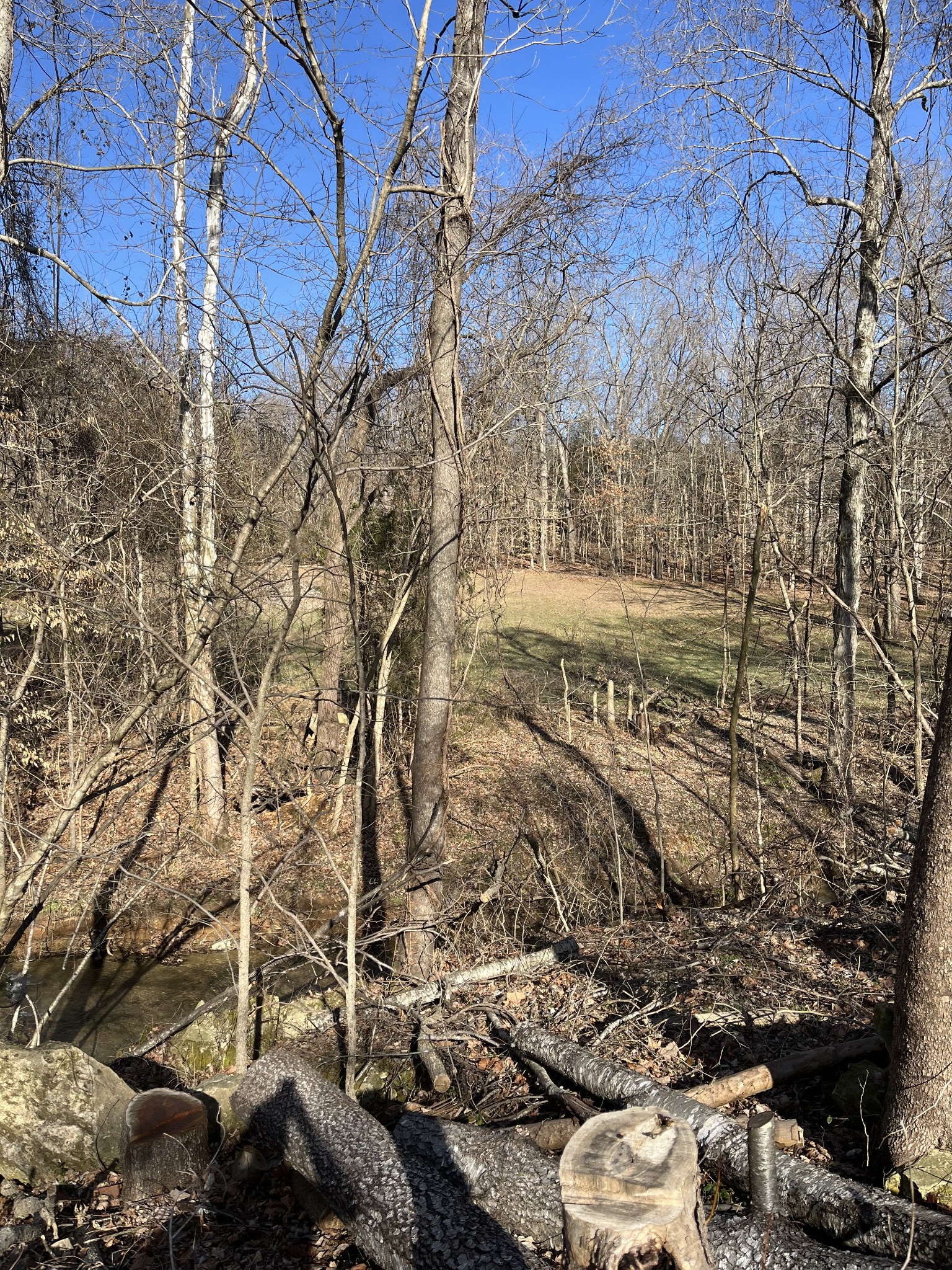 4061 Sawmill Road Woodlawn, TN 37191 - Photo 3 of 10 a view of a yard with wooden fence