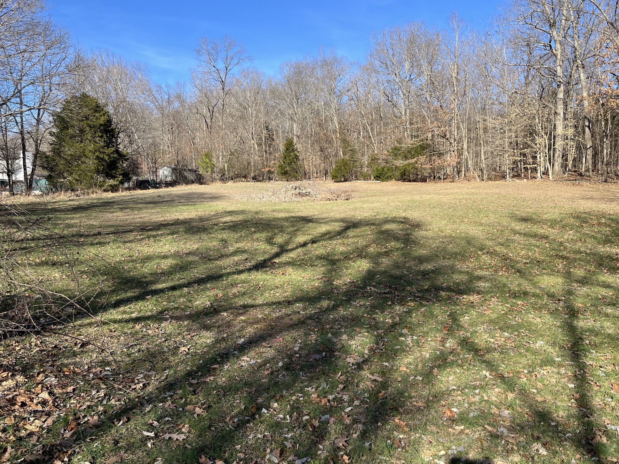 4061 Sawmill Road Woodlawn, TN 37191 - Photo 4 of 10 a view of side of yard with trees