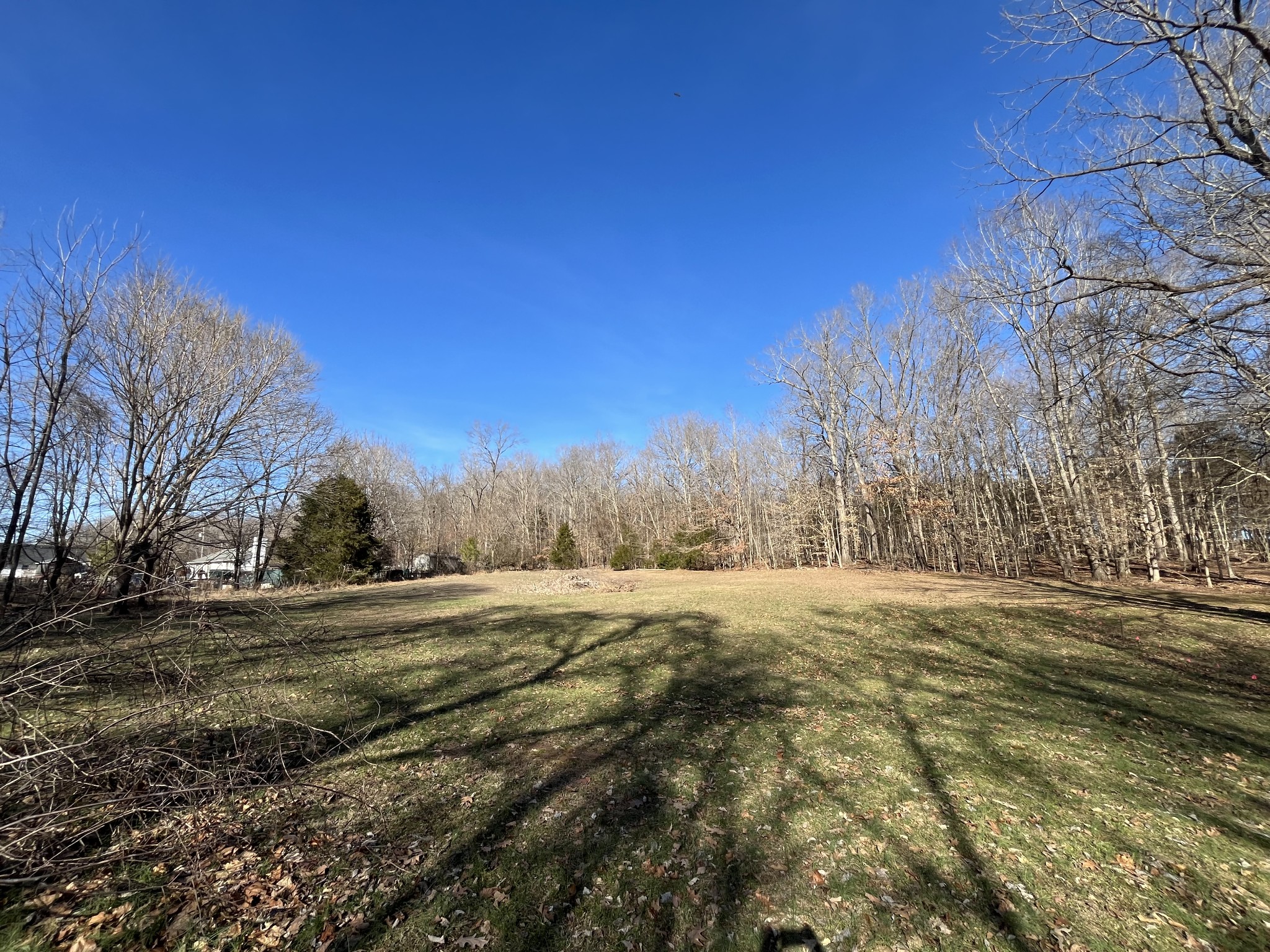 4061 Sawmill Road Woodlawn, TN 37191 - Photo 5 of 10 a view of dirt yard with a large tree