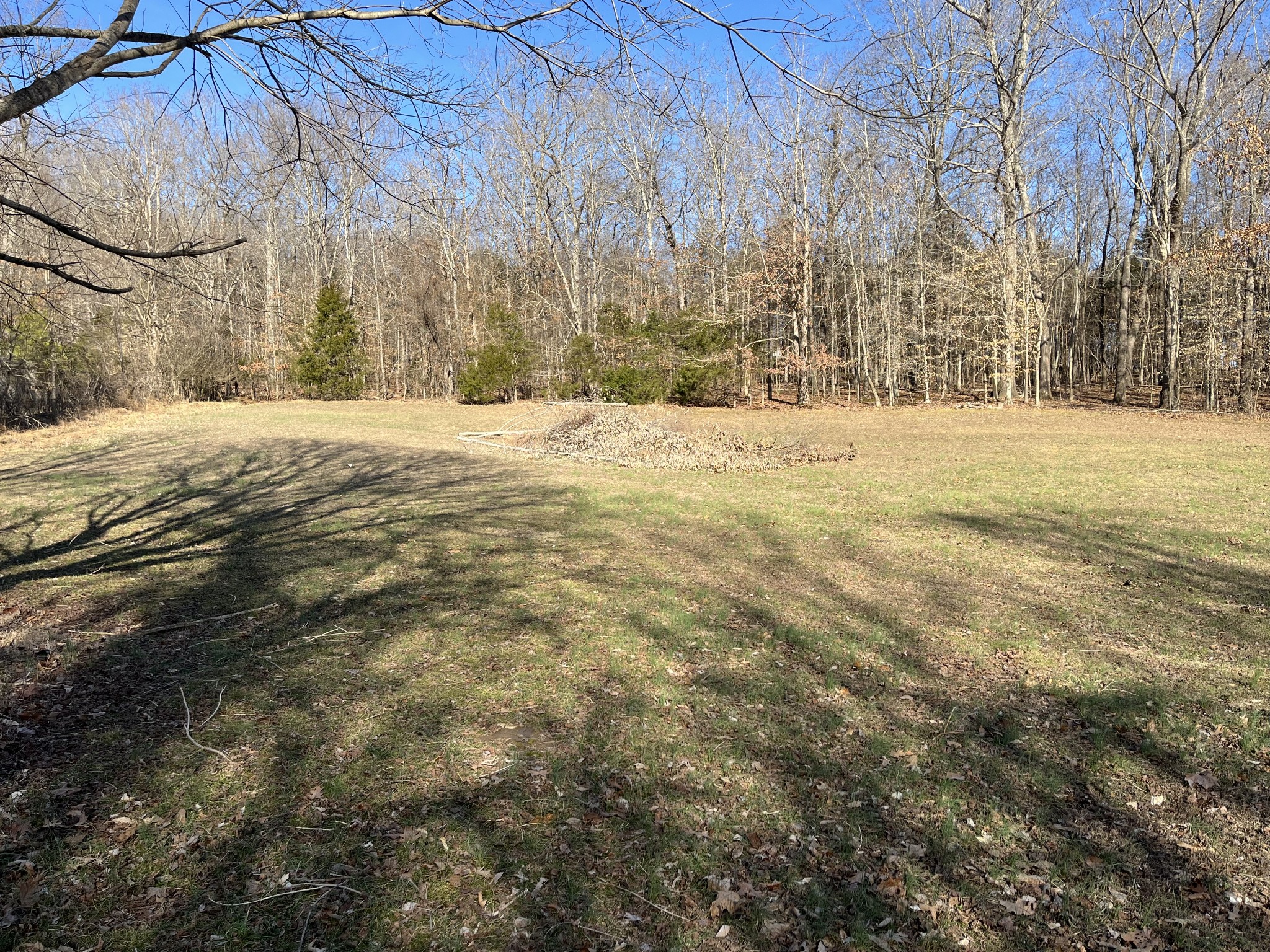 4061 Sawmill Road Woodlawn, TN 37191 - Photo 6 of 10 a view of yard covered with snow