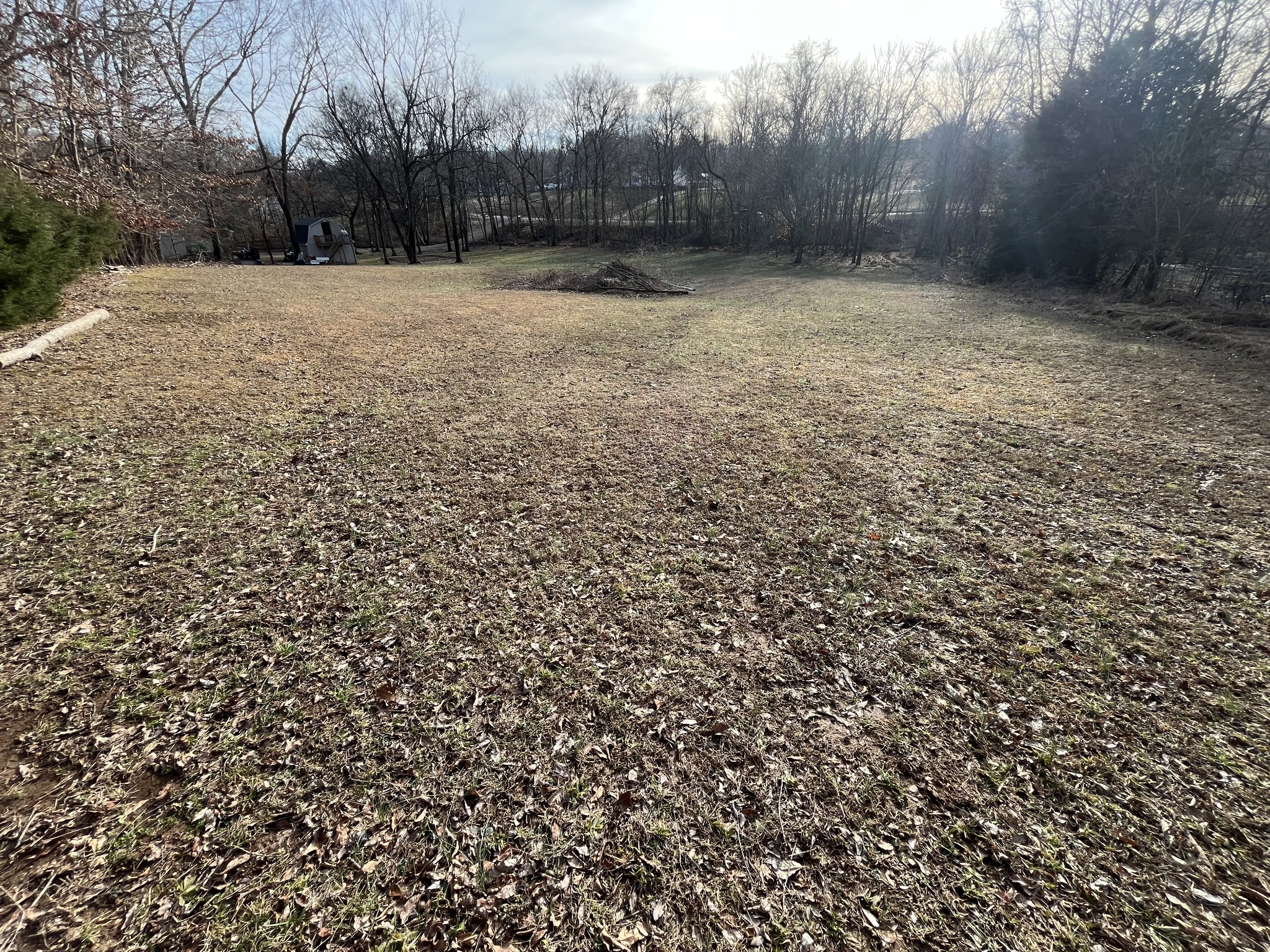 4061 Sawmill Road Woodlawn, TN 37191 - Photo 7 of 10 a view of a yard with trees