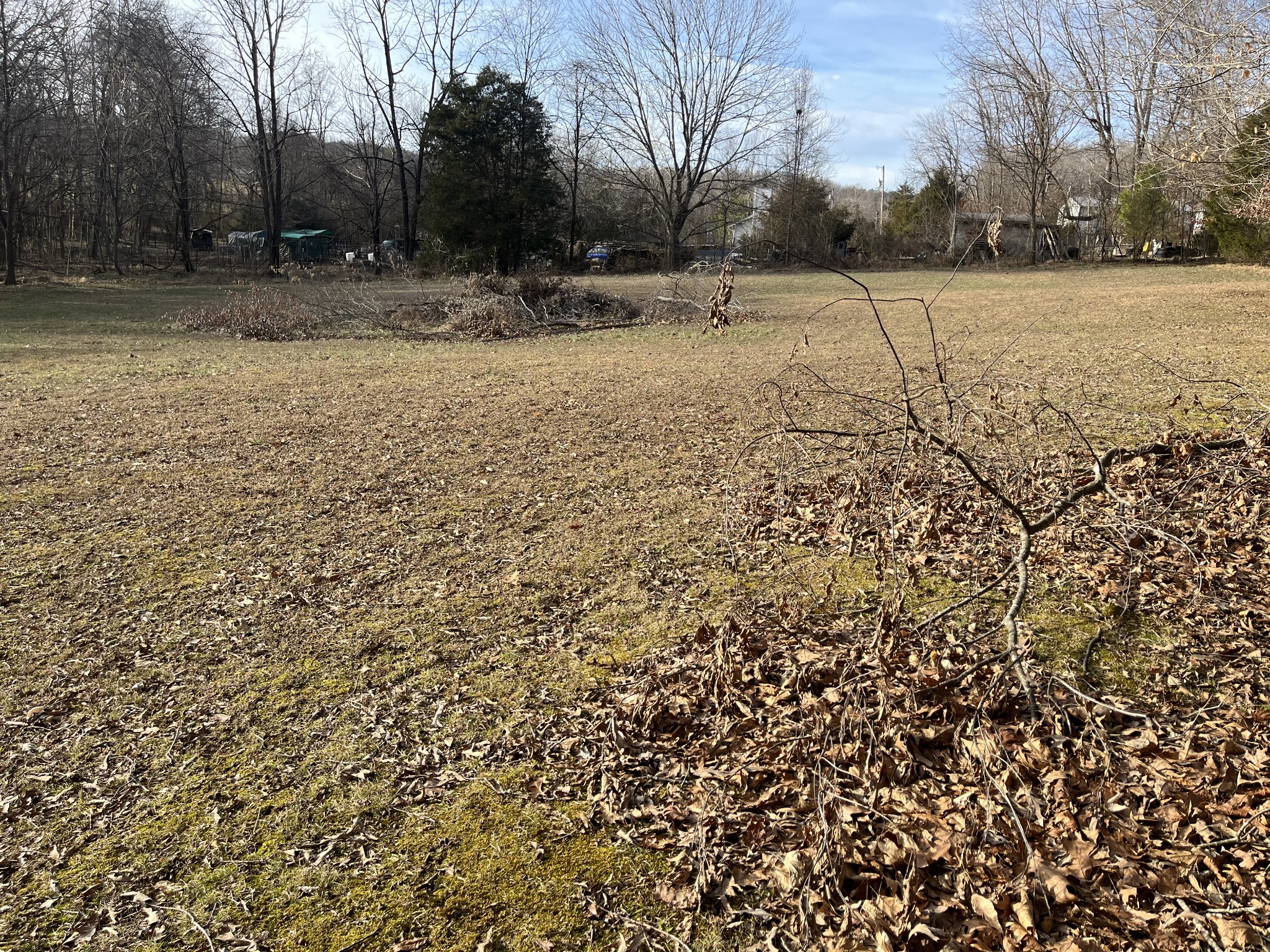 4061 Sawmill Road Woodlawn, TN 37191 - Photo 8 of 10 a view of a yard covered with snow
