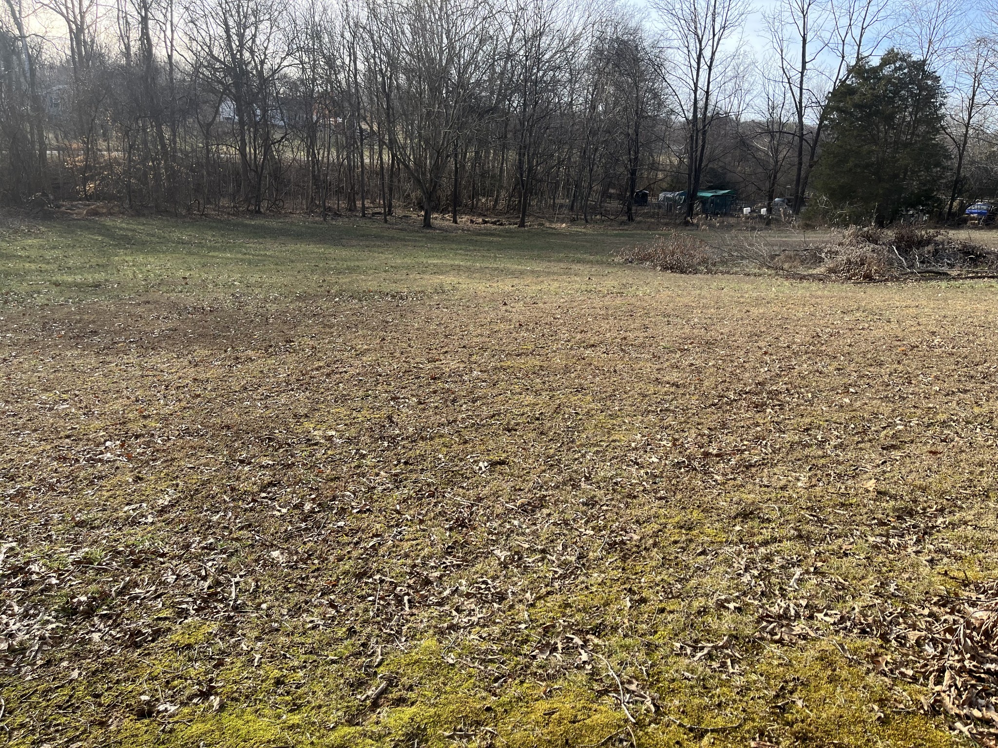 4061 Sawmill Road Woodlawn, TN 37191 - Photo 9 of 10 a backyard of a house