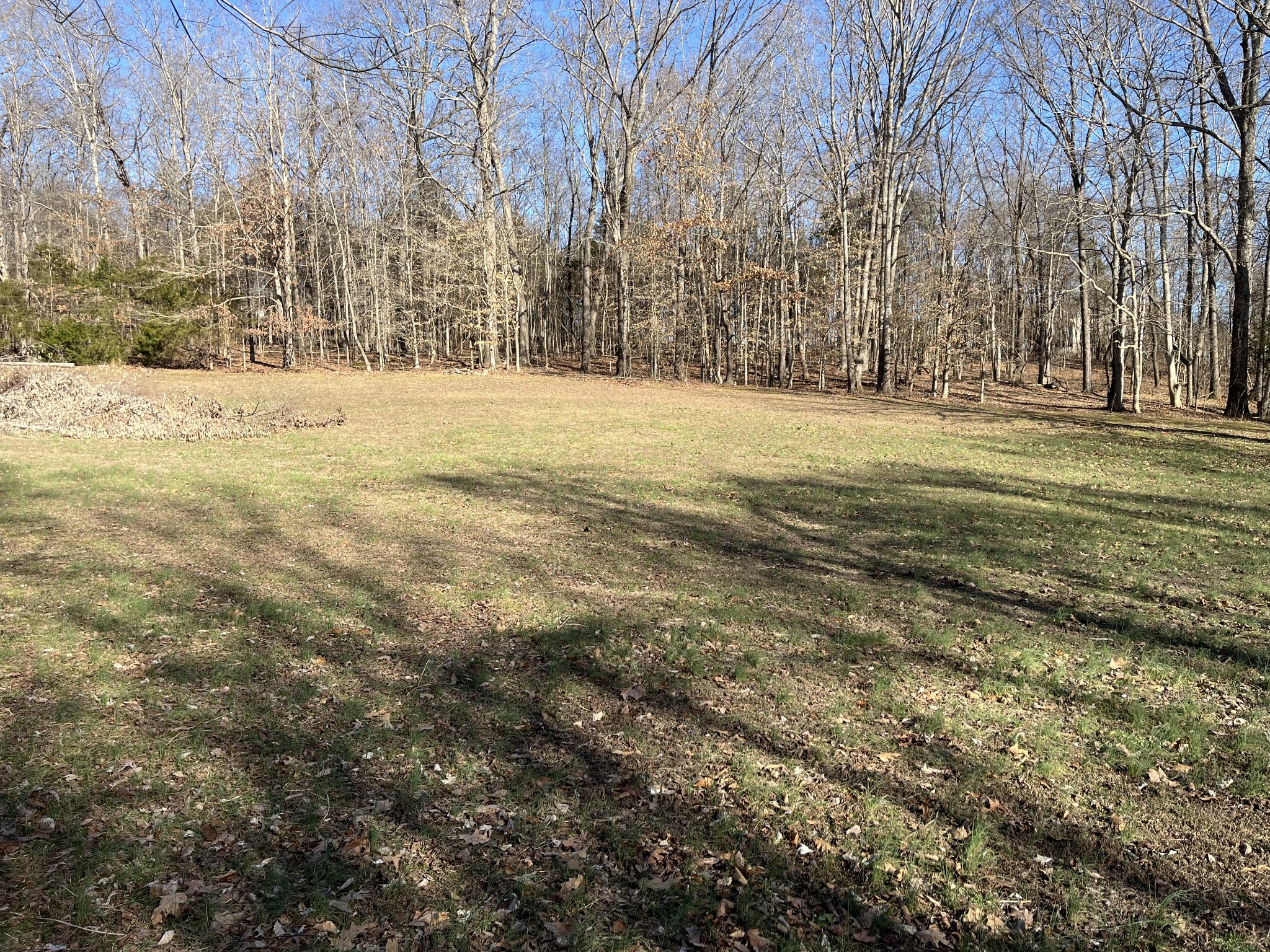 4061 Sawmill Road Woodlawn, TN 37191 - Photo 10 of 10 a view of road with large trees