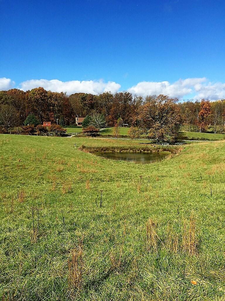 150 Glendale Road Limestone, TN 37681 - Photo 4 of 38 Glendale Pond