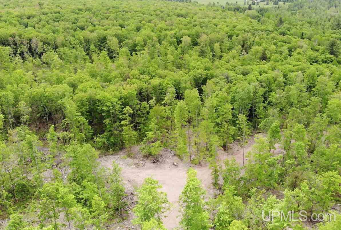 Tbd Off Crooked Road Chassell, MI 49916 - Photo 10 of 19 Gallery Image 10