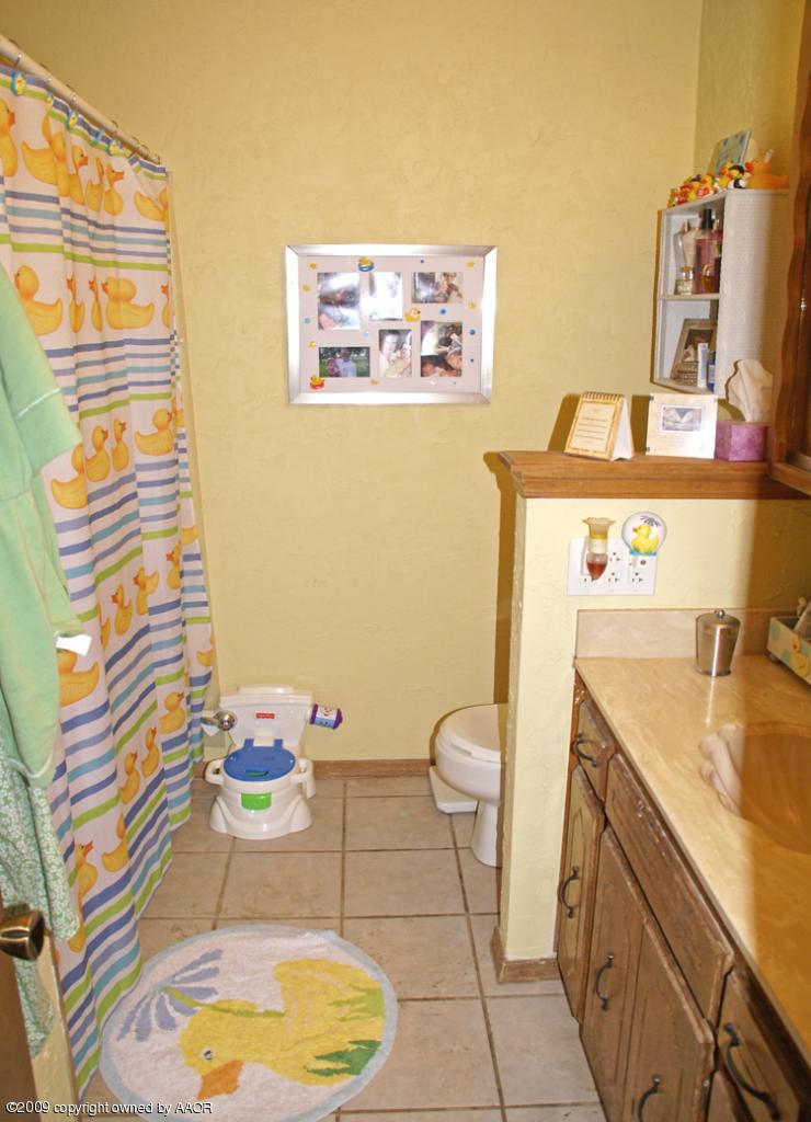 5301 Capulin Lane Amarillo, TX 79110 - Photo 12 of 18 a bathroom with a sink a toilet and shower curtain