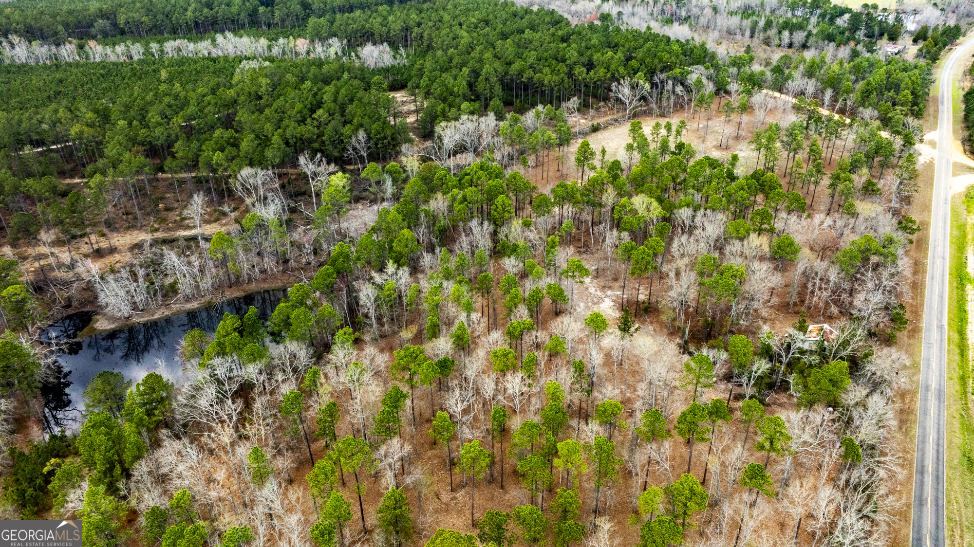 13463 Cowart Pond Road Metter, GA 30439 - Photo 1 of 21