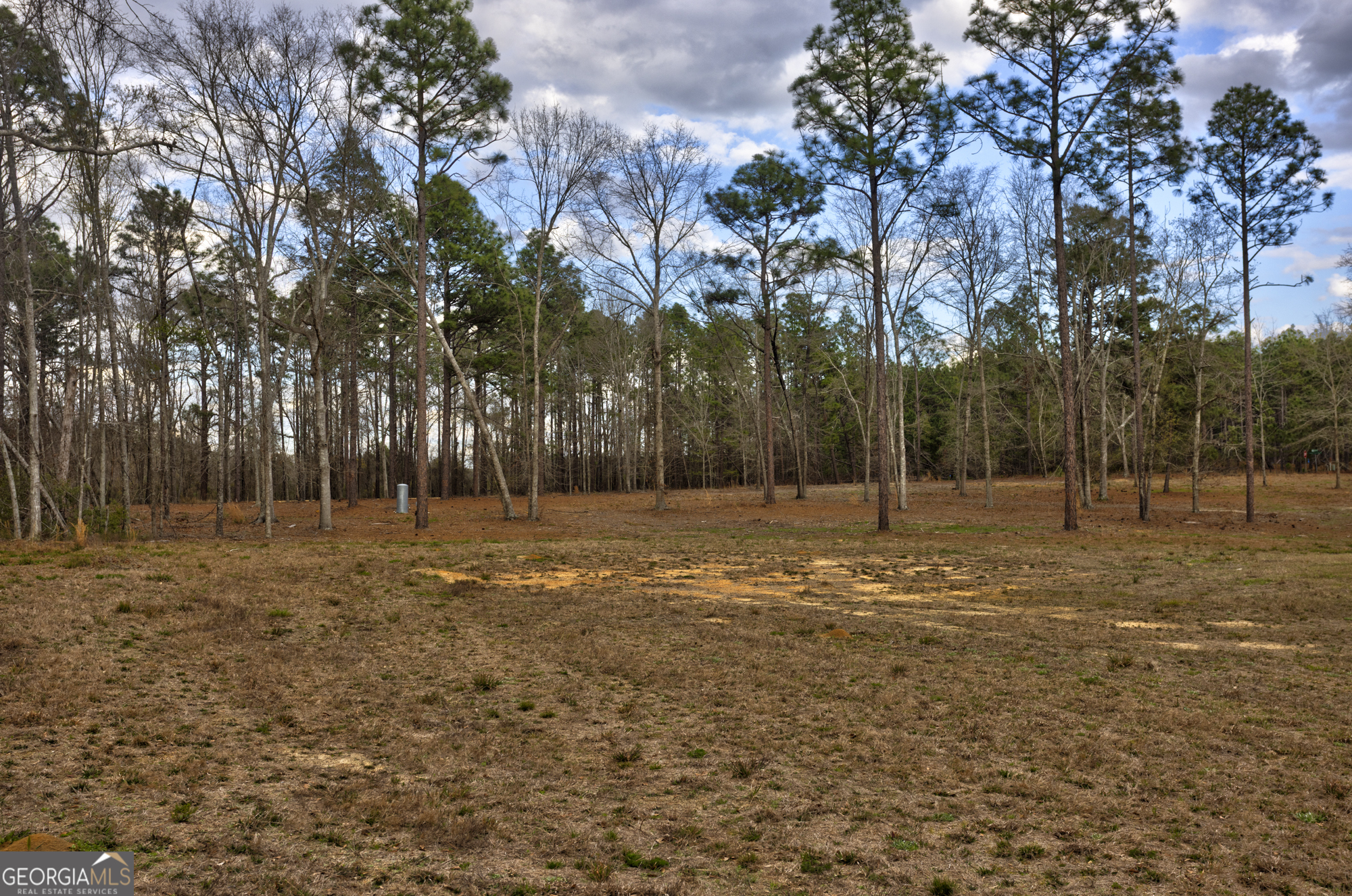 13463 Cowart Pond Road Metter, GA 30439 - Photo 11 of 21