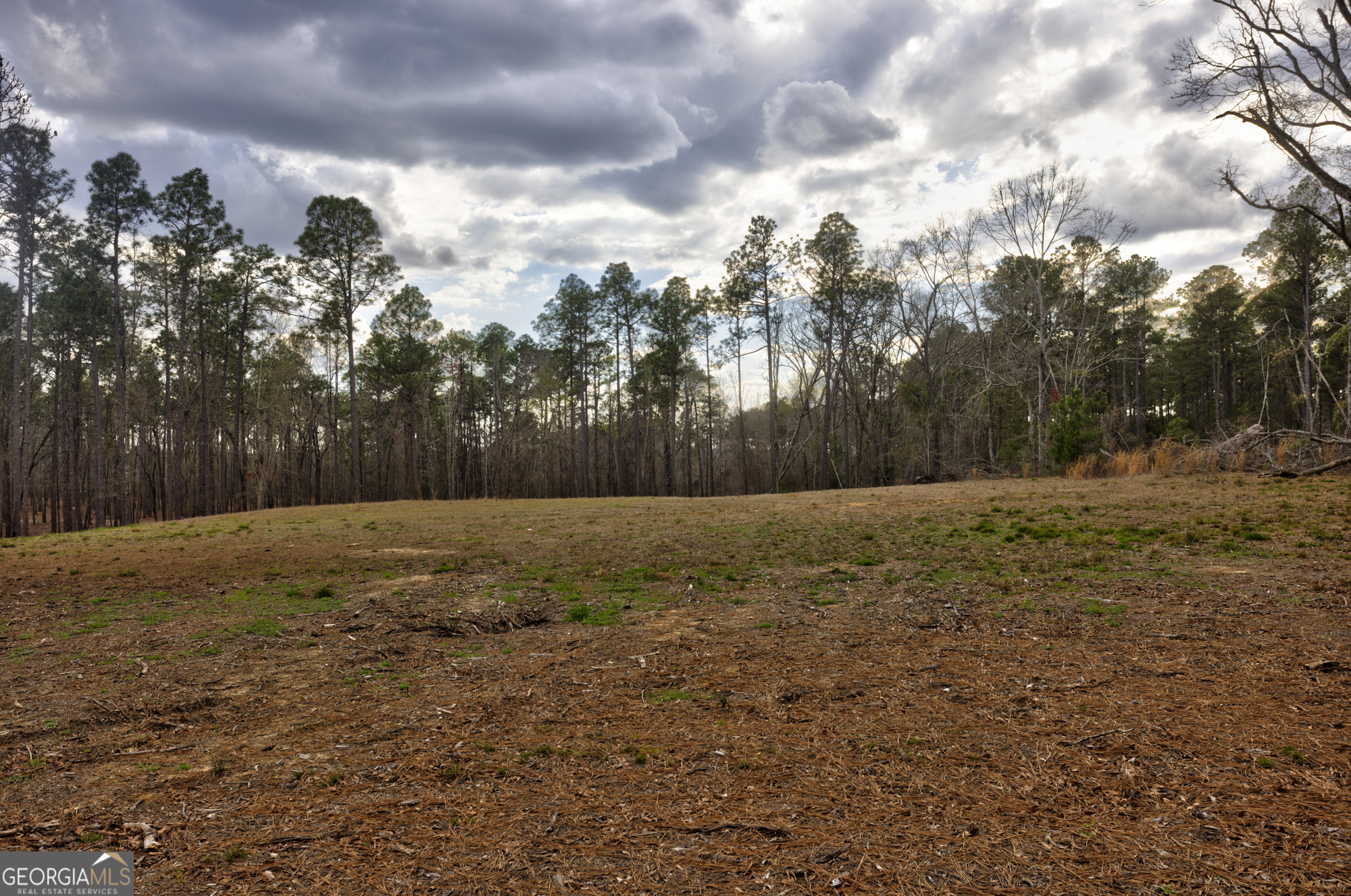 13463 Cowart Pond Road Metter, GA 30439 - Photo 12 of 21