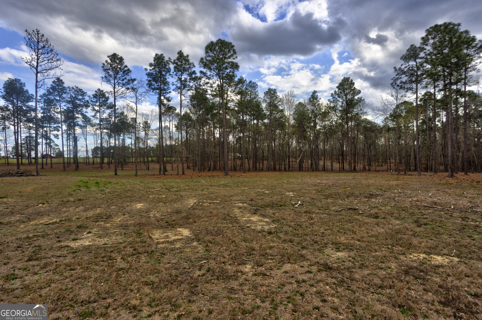 13463 Cowart Pond Road Metter, GA 30439 - Photo 13 of 21