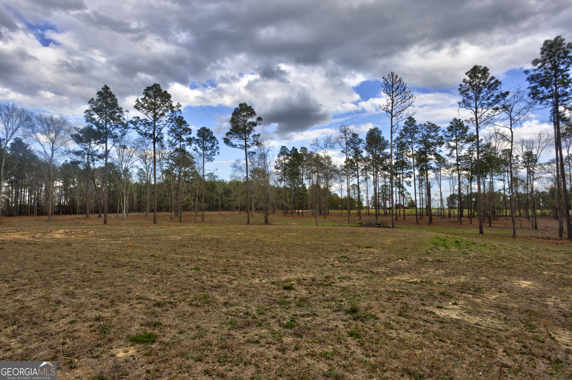 13463 Cowart Pond Road Metter, GA 30439 - Photo 14 of 21