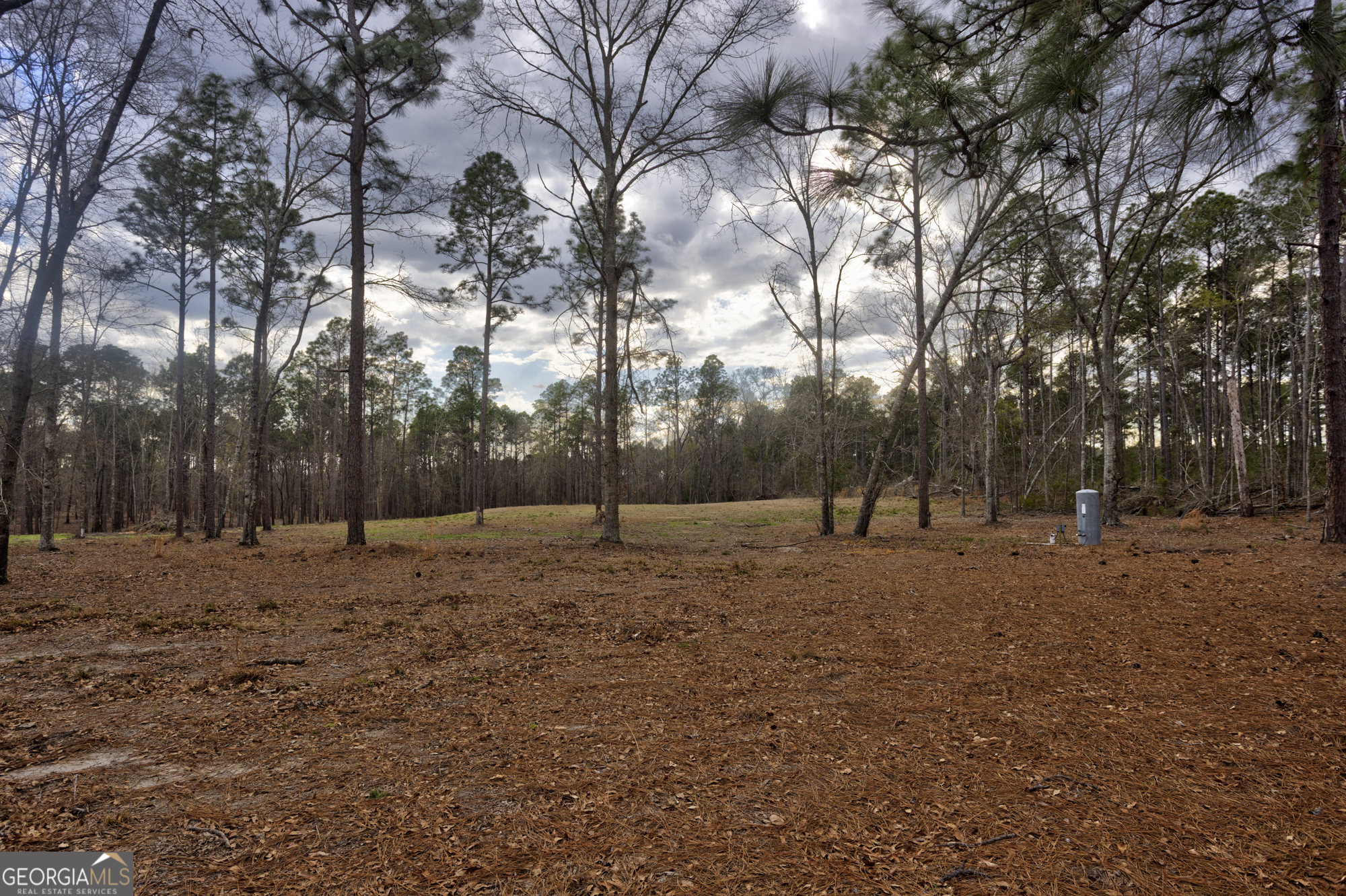 13463 Cowart Pond Road Metter, GA 30439 - Photo 15 of 21