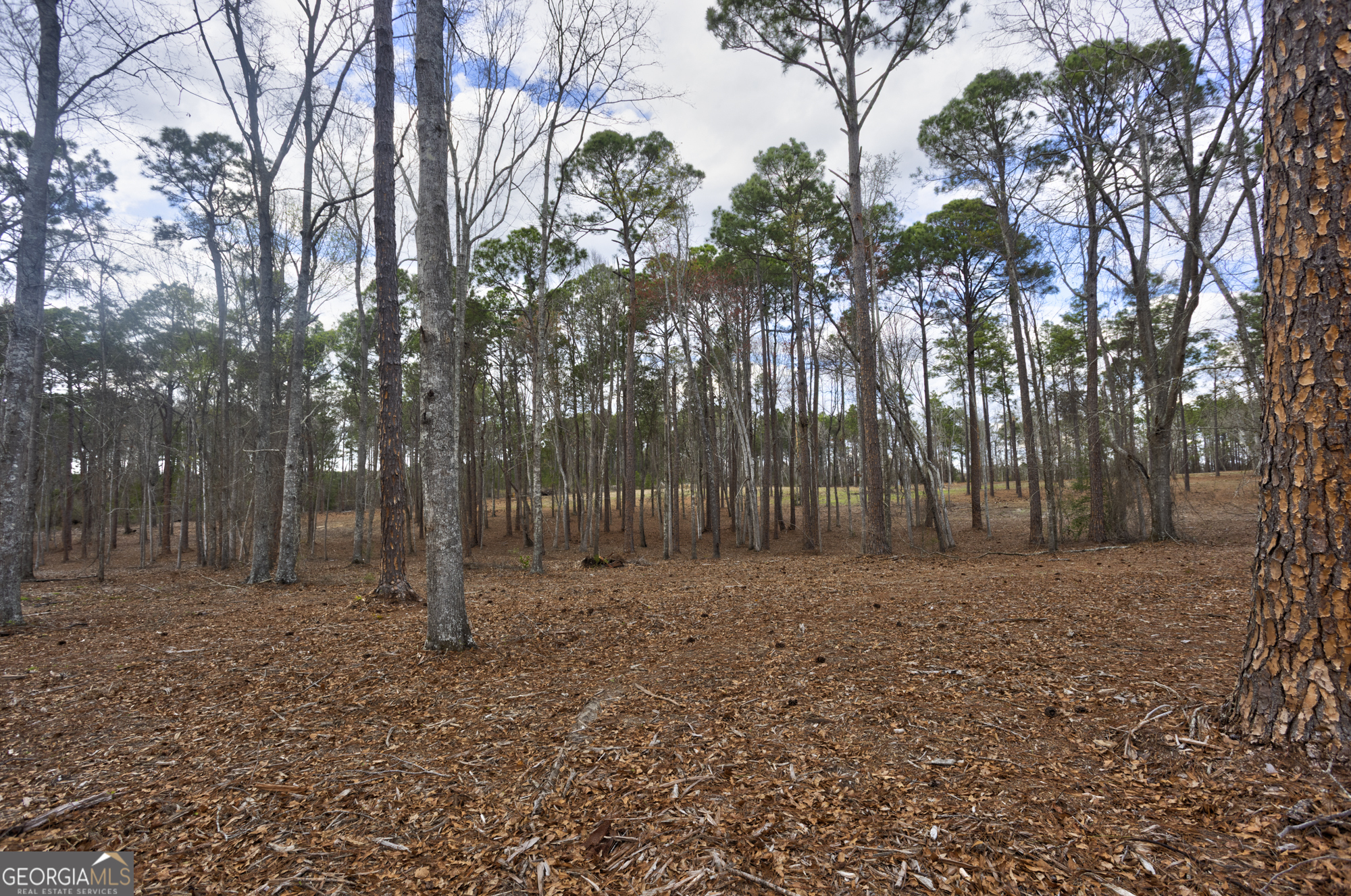 13463 Cowart Pond Road Metter, GA 30439 - Photo 16 of 21