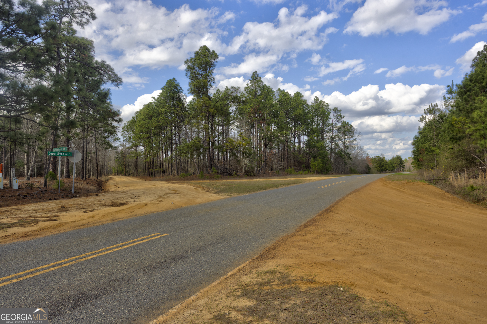 13463 Cowart Pond Road Metter, GA 30439 - Photo 17 of 21