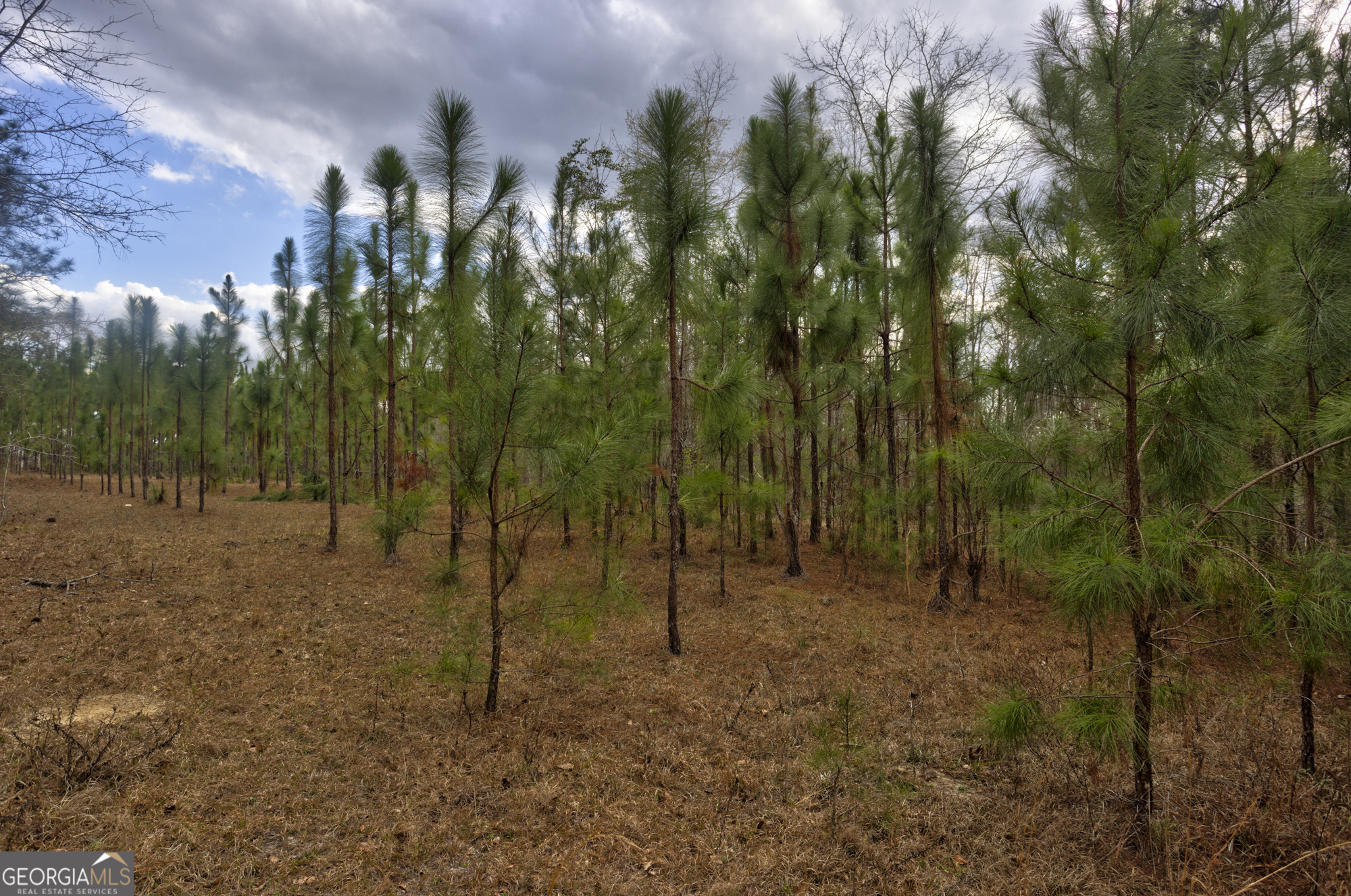 13463 Cowart Pond Road Metter, GA 30439 - Photo 19 of 21