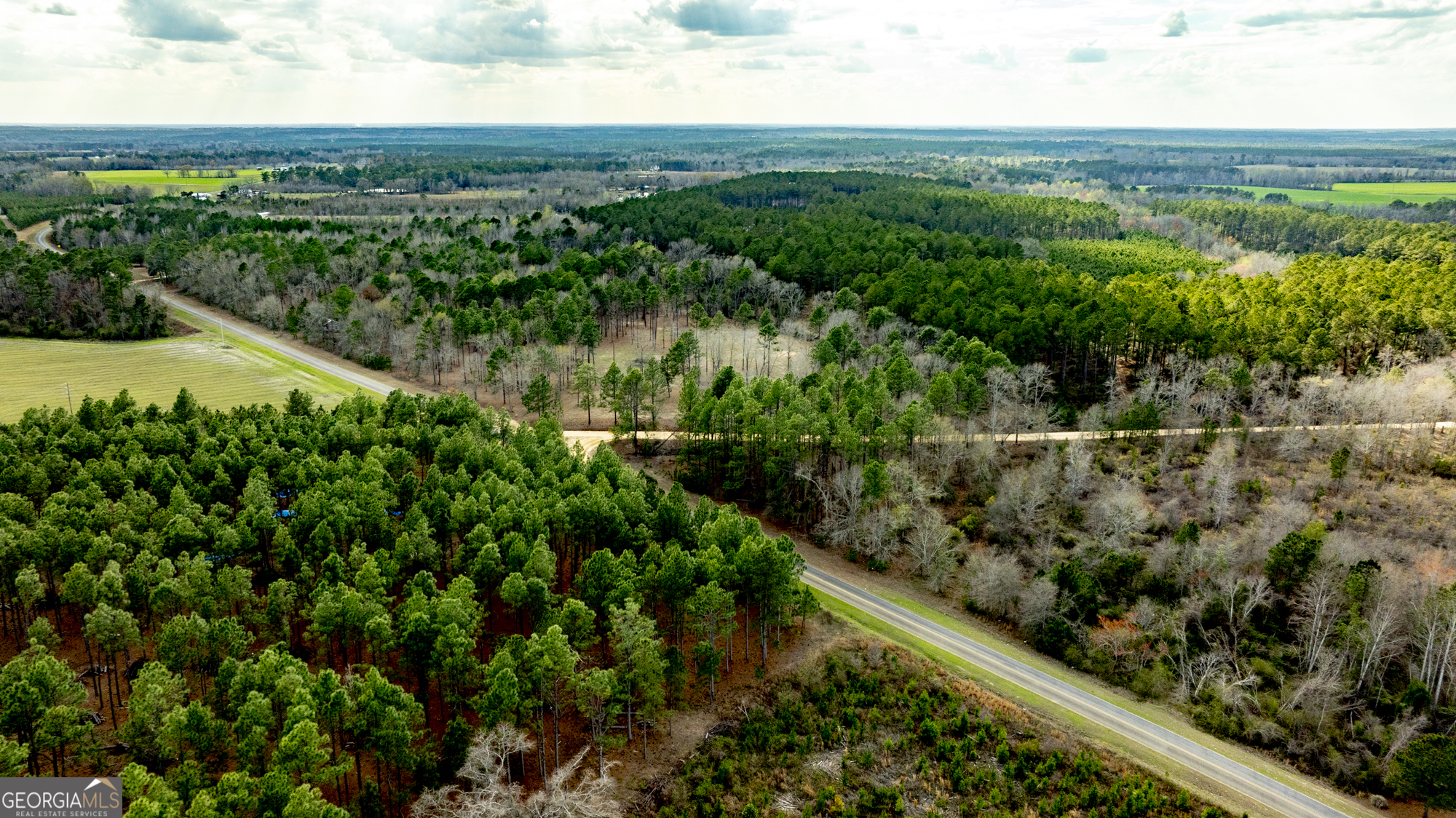 13463 Cowart Pond Road Metter, GA 30439 - Photo 2 of 21