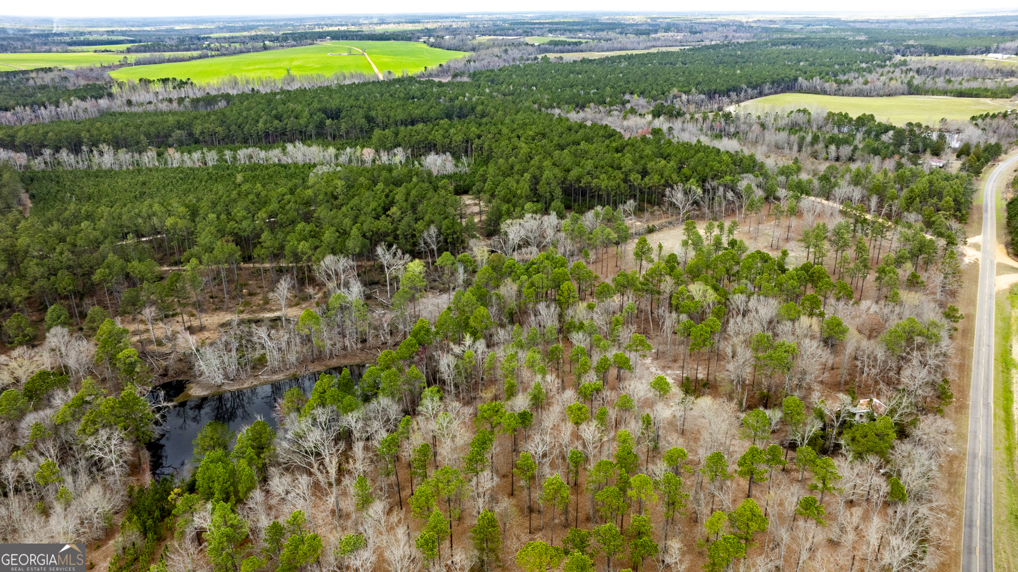 13463 Cowart Pond Road Metter, GA 30439 - Photo 4 of 21