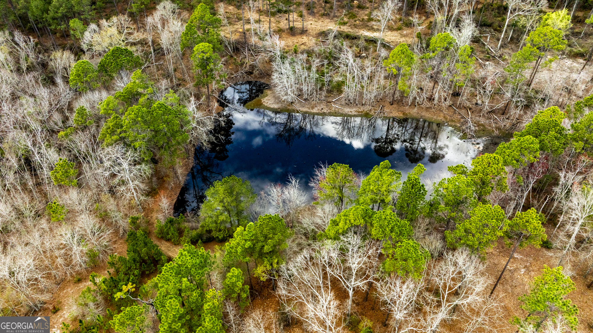 13463 Cowart Pond Road Metter, GA 30439 - Photo 5 of 21