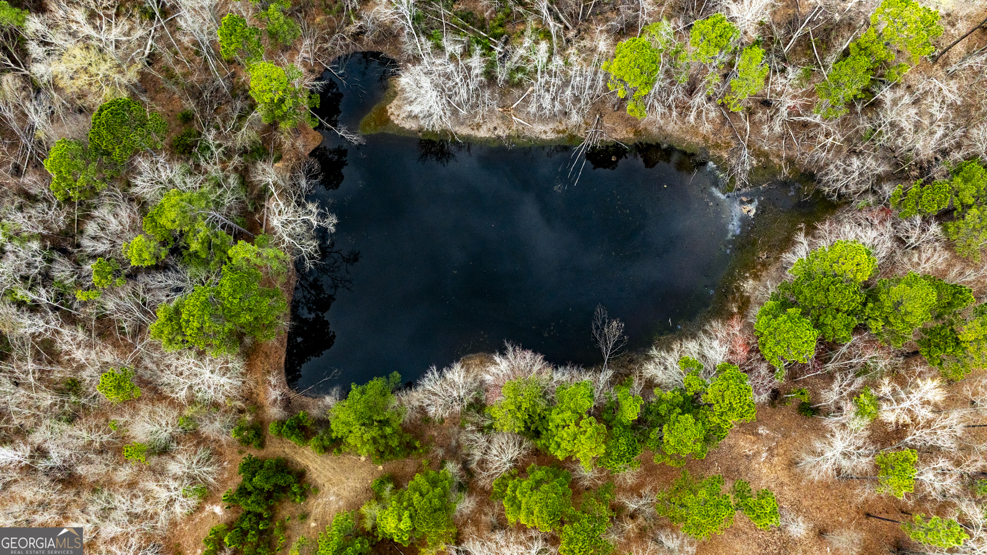 13463 Cowart Pond Road Metter, GA 30439 - Photo 6 of 21