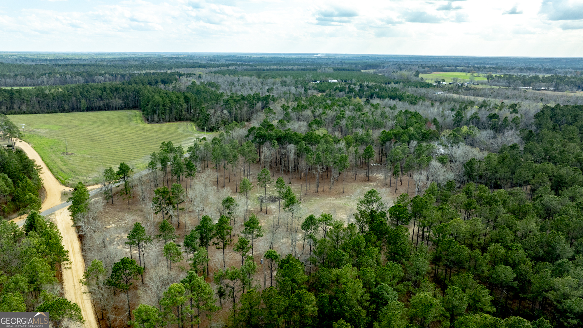 13463 Cowart Pond Road Metter, GA 30439 - Photo 7 of 21