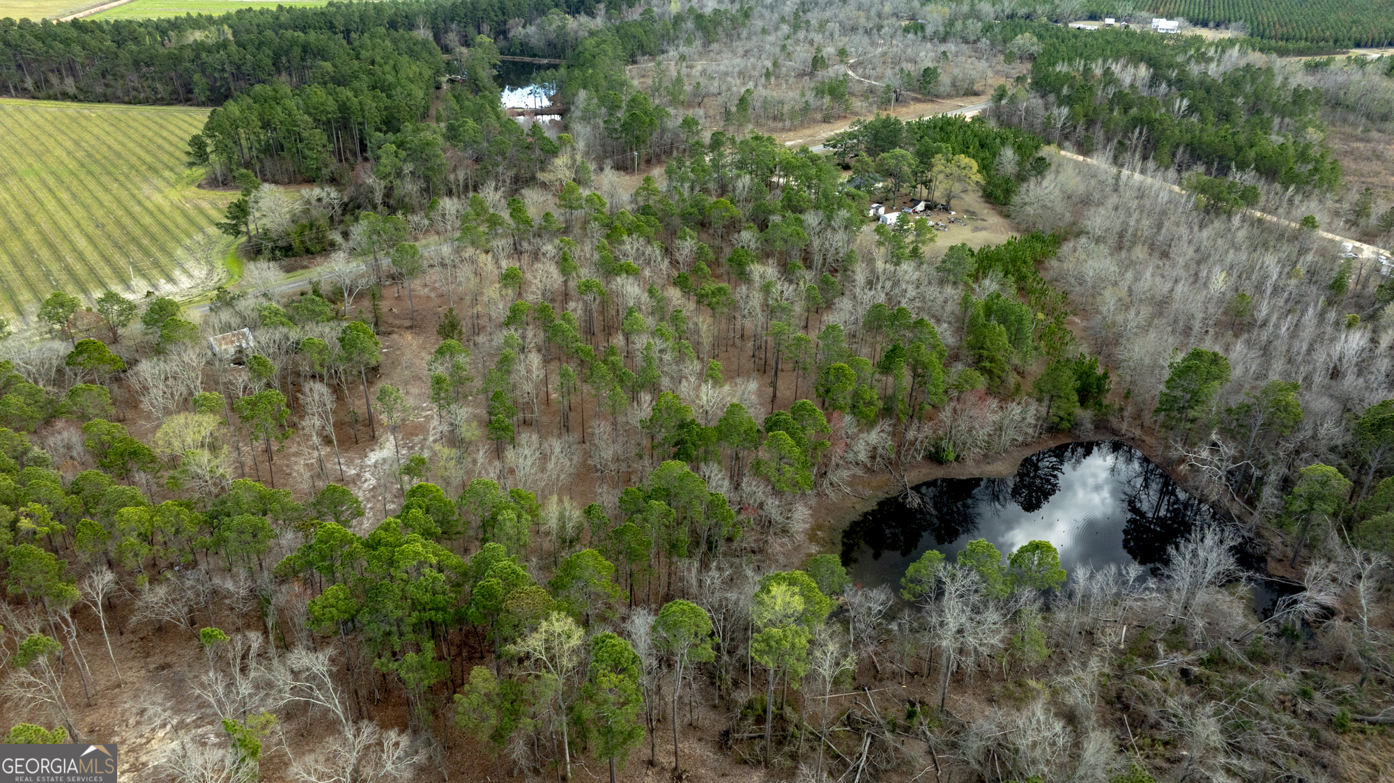 13463 Cowart Pond Road Metter, GA 30439 - Photo 8 of 21