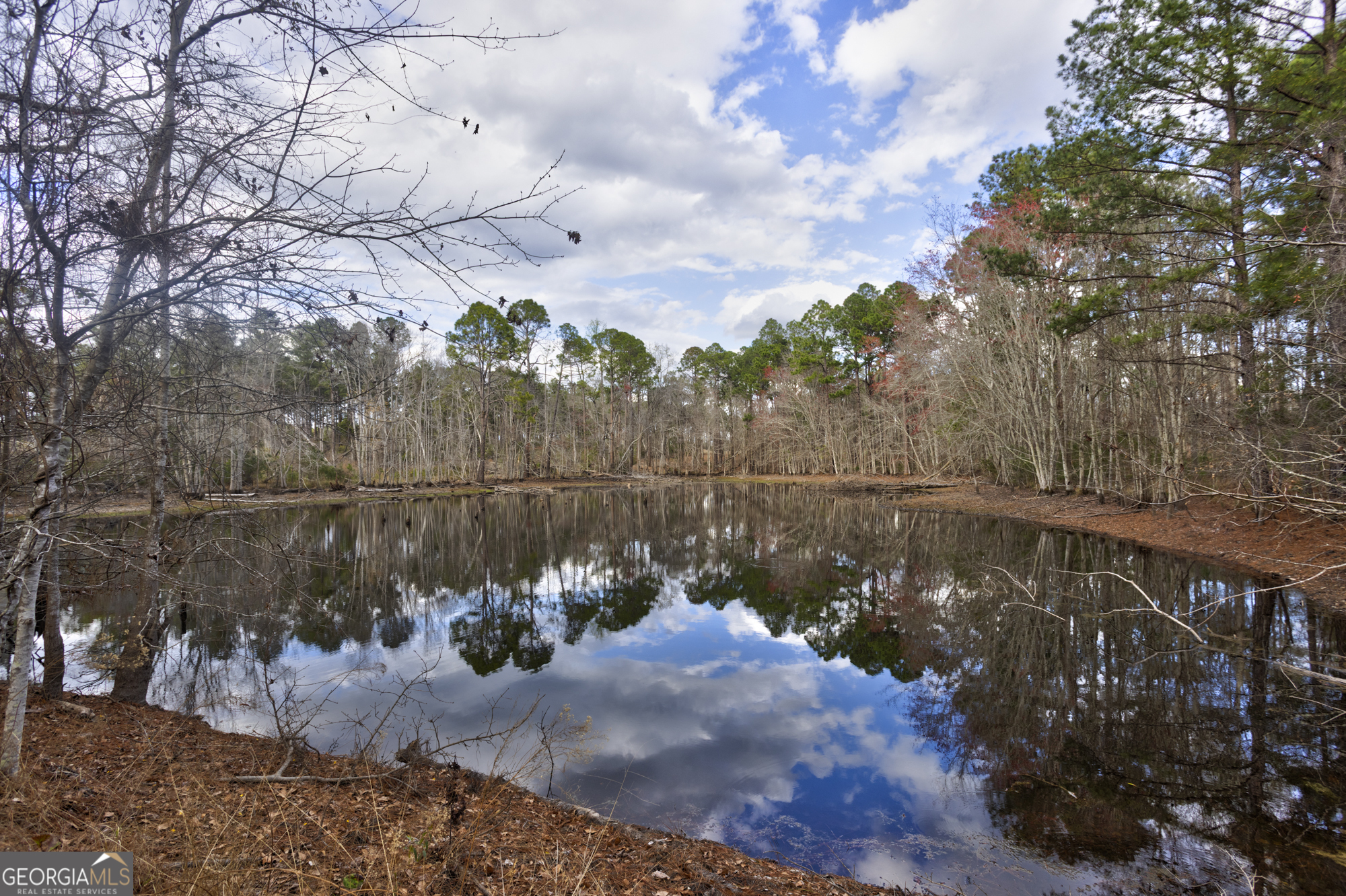 13463 Cowart Pond Road Metter, GA 30439 - Photo 9 of 21