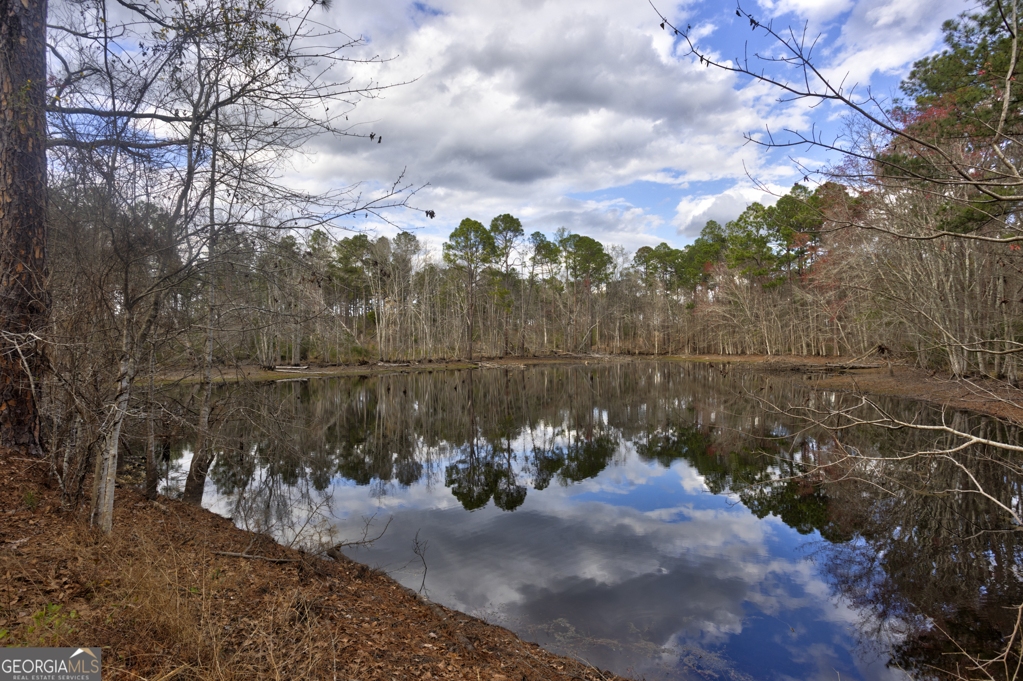 13463 Cowart Pond Road Metter, GA 30439 - Photo 10 of 21