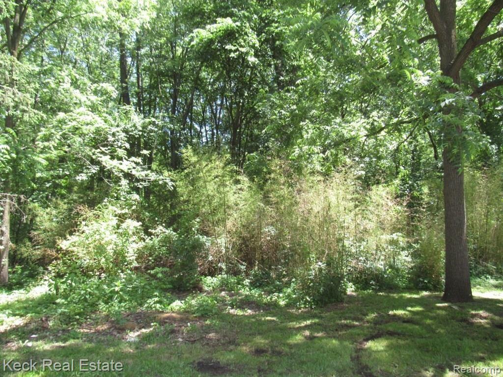 9521 Beech Daly Road Taylor, MI 48180 - Photo 29 of 29 9521 Beech Daly (71).JPG