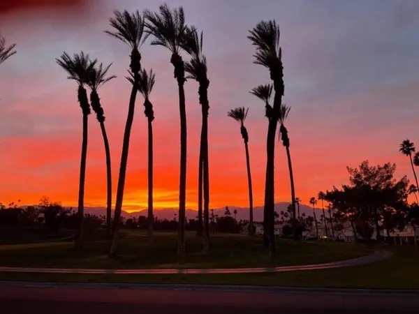 front view of a yard