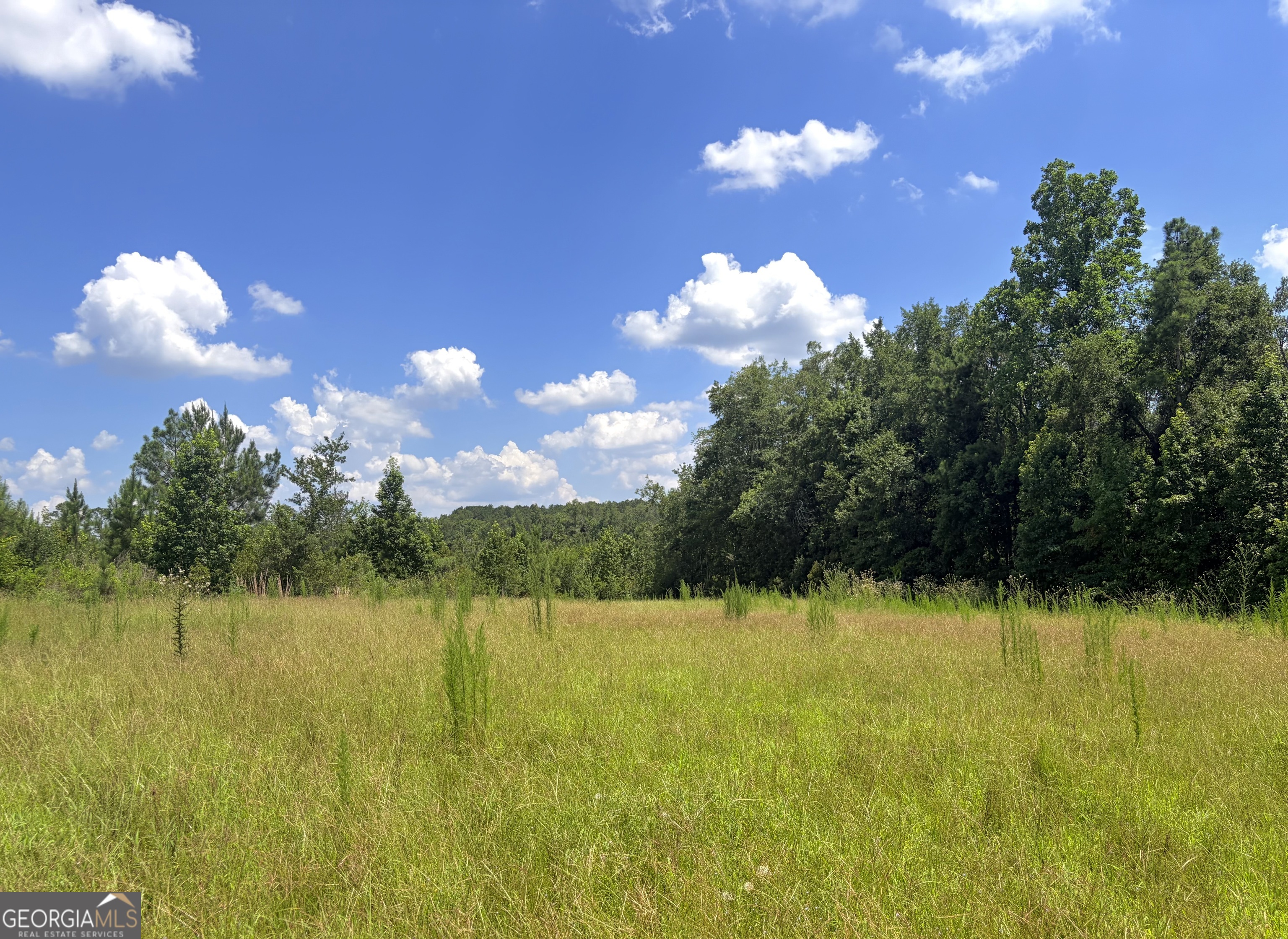0 Ernest Carter Road Hazlehurst, GA 31539 - Photo 14 of 17 Gallery Image 14