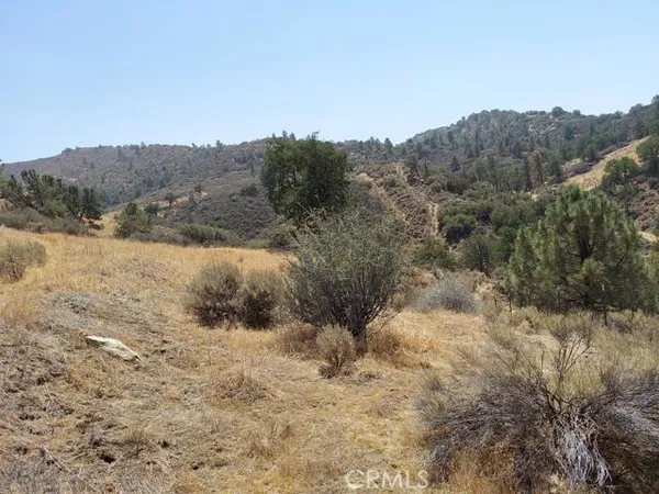 a view of a dry field
