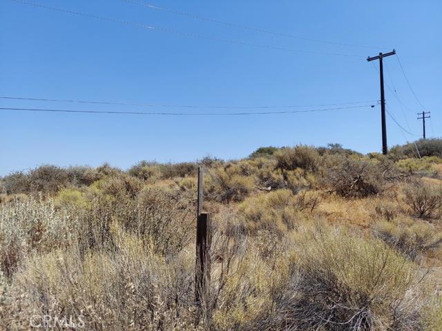 0 Fox Ridge Tehachapi, CA 93561 - Photo 4 of 5 a view of a dry yard