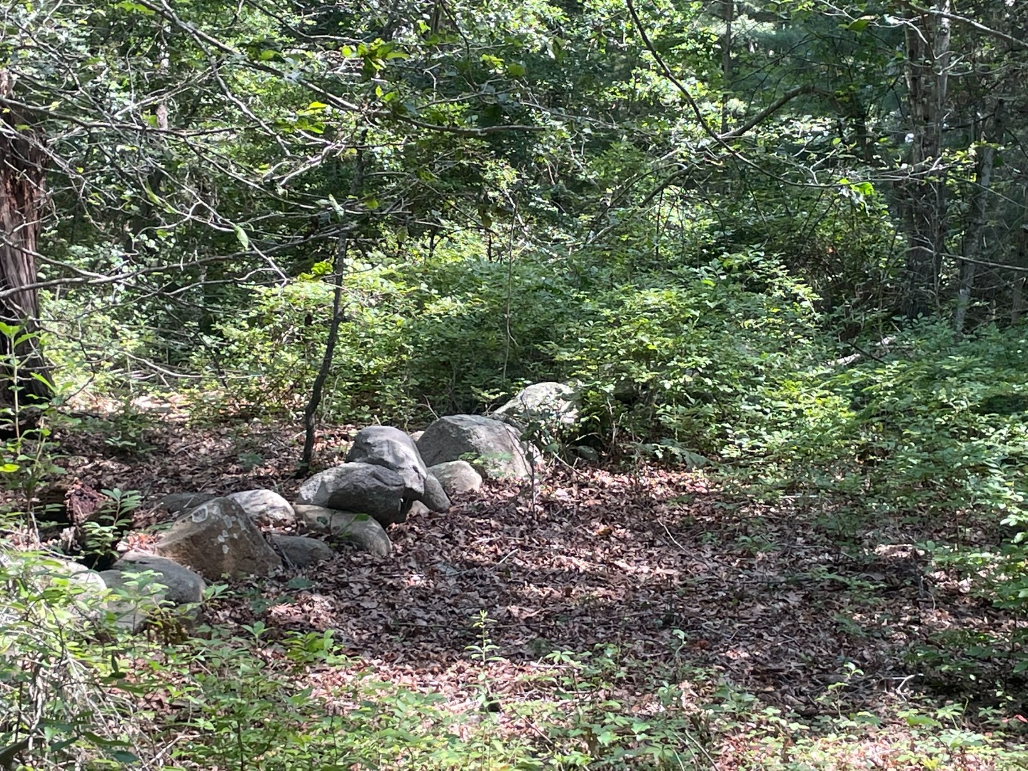 60 A Davis Look Road West Tisbury, MA 02568 - Photo 5 of 9 Gallery Image 5
