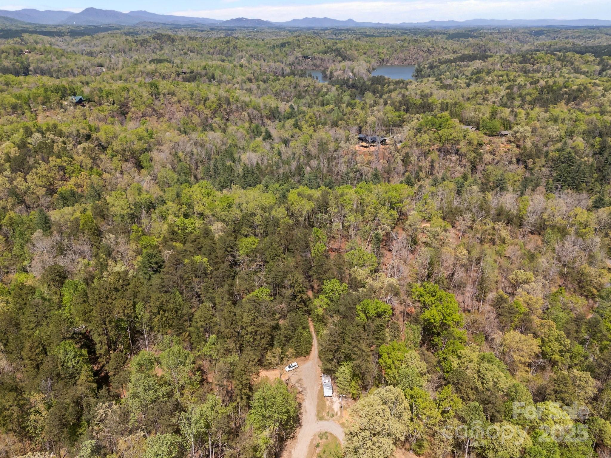 0 Hawkins Lane Mill Spring, NC 28756 - Photo 11 of 16 a view of a field with mountains in the background