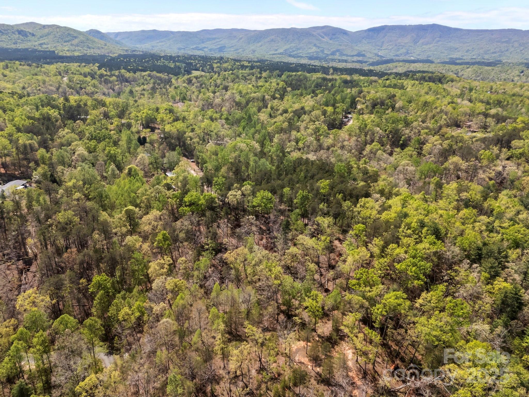 0 Hawkins Lane Mill Spring, NC 28756 - Photo 13 of 16 a view of lake and mountain view